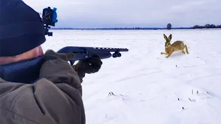 THE BEST IN 6 YEARS OF HARE HUNTING. TOP shots on a hare and a foxl