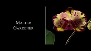 Master Gardener - Opening titles
