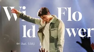 RM (알엠) Wild Flower (with youjeen) (한/Rom/Eng) Lyrics