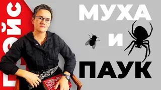 МУХА И ПАУК. КАК ПОНЯТЬ: ВАС ЛЮБЯТ ИЛИ ПОТРЕБЛЯЮТ? ОХОТНИКИ ЗА ЖИЗНЕННОЙ ЭНЕРГИЕЙ. Н. ГРЭЙС #аура