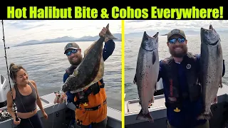 Hot Halibut Bite and Cohos Everywhere! Alaskan Halibut & Salmon Fishing - Juneau, Alaska! AUG 2023