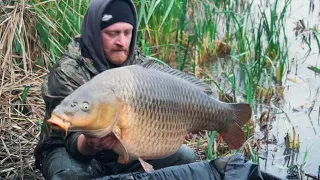 World Carp Classic 2017 - Lac de Madine, France  -Carp Fishing - On The Bank -