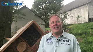 Bouwen voor bijen