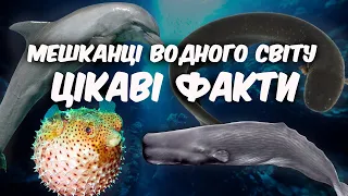 Мешканці водного світу. Цікаві факти. Дика природа.