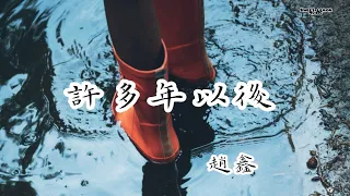 趙鑫 - 許多年以後 (歌詞字幕Lyrics) Chinese song