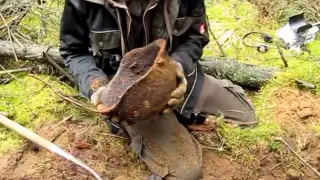 WWII Russian Helmets - Relic Hunting on the Eastern Front