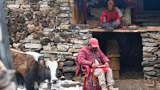 Tibetan Village Life in Nepal in 4K - Hiking for 10 days in the Manaslu Circuit 2024