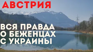 Беженцы в Австрии. Вся правда.