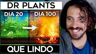 Há 100 Dias Construí um Ecossistema, e Então Isso Aconteceu - Dr Plants Brasil | Leozin React