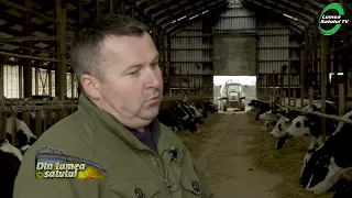 Cum obținem profit din fermele de vaci de lapte și care sunt rasele recomandate