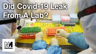 Did Covid-19 Leak From A Lab? | #TyskySour