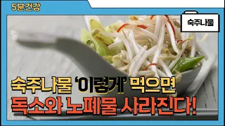 숙주나물의 놀라운 효능과 주의점 (고르는법, 손질법, 보관법 포함)