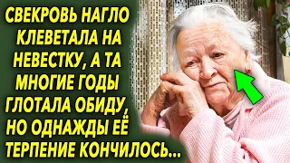 Свекровь нагло клеветала на невестку, а ты многие годы глотала обиду, но однажды…