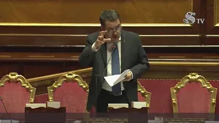 MATTEO SALVINI RISPONDE AL QUESTION TIME IN SENATO