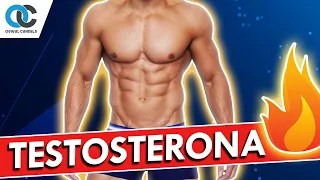 TESTOSTERONA ¡Así se sube! 1ª Parte