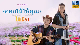 ดอกไม้ให้คุณ - ไม้เมือง 【Cover Version Virtual Concert】