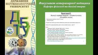 Фізіологія. Практика 57.  Функції окремих відділів  головного мозку. Кінцевий мозок