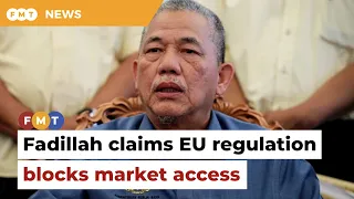 EU wants to block market access via regulation, says DPM