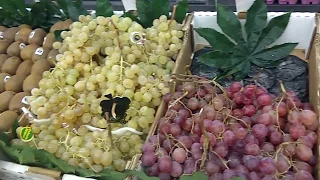 Цены на фрукты и овощи на Тенерифе Канарские острова| Магазин Фрутерия Испания