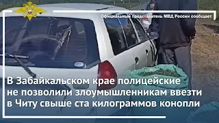 Ирина Волк:В Забайкальском крае полицейские не позволили ввезти в Читу свыше ста килограммов конопли