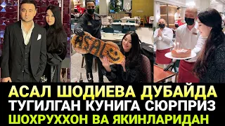 ШОХРУХХОН АСАЛ ШОДИЕВА УЧУН ДУБАЙДА СЮРПРИЗ ТАЙЁРЛАДИ