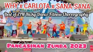 WHY x CARLOTA x SANA-SANA I ZUMBA REMIX I BEST OF ZIN RICKY DANCE FITNESS CHOREOGRAPHY I DFTV