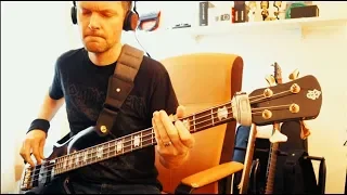 The Pot by Tool - Bass Cover (Spector Euro 4LX) *Darkglass & Sansamp*