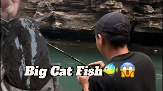 Big Cat Fish catch By Kale😱🐠🎣