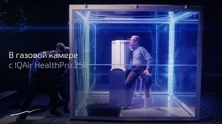 Президент IQAir в газовой камере с очистителем HealthPro 250