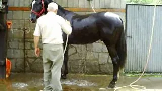 Dusche, shower