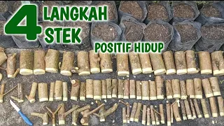 4 LANGKAH PENTING STEK SANCANG JARANG ORANG TAU