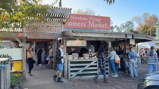 Weekend in Auckland | Matakana Village Farmers’ Market | New Zealand Travel Vlog 2024