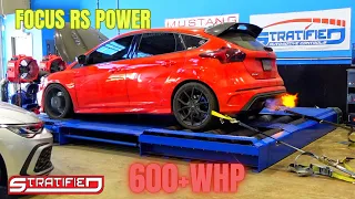 MK3 Focus RS 600+ whp - Wolf in sheep's clothing