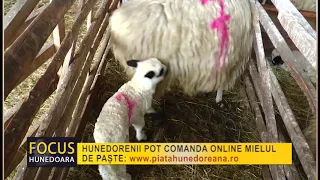 HUNEDORENII POT COMANDA ONLINE MIELUL DE PAȘTE