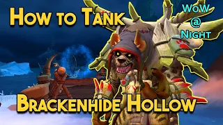 How to Tank Brackenhide Hollow
