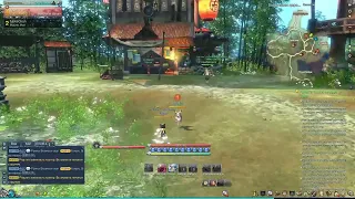 Lineage 2 Asterios x7 (9)