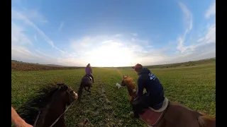 Верховая езда карьером 360 5K | Horseback riding 360 5K