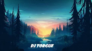 Requiem For A Dream  ( DJ Torgue - Remix )