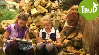 Ponyhilfe.de (Folge 46) | Tiere bis unters Dach | SWR Plus