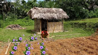 Orphan Boy - Gardening and growing flowers, harvesting canarium to sell for a living.(ep.37)