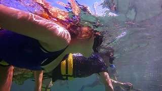 Marinarium Tour Punta Cana Snorkeling | Punta Cana Tours