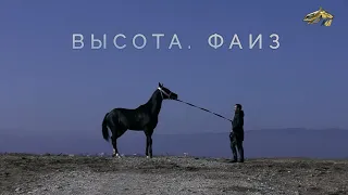 PRO_Лошадей. Фаиз. 21 февраля 2021 года. 11:00