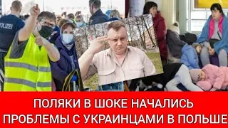 Поляки в шоке. Начались проблемы с украинцами в Польше.