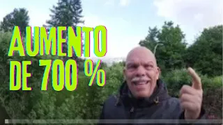 ATENÇÃO !!!  NOVO E TRISTE RECORDE - AUMENTO DE 700% NO NÚMERO DE PESSOAS COM CUIDADOS ESPECIAIS