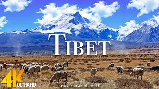 Tibet (4K UHD) - Scenic Relaxation Film With Epic Cinematic Music - 4K ULTRA HD VIDEO