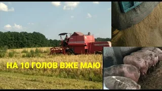 НАМОЛОТИВ БАГАТО ЯЧМЕНЮ • ЦЕ ТІЛЬКИ ПОЧАТОК, ЩЕ МОЛОТИТЬ І МОЛОТИТЬ • КЛАС👌