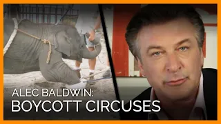 Alec Baldwin: Boycott Circuses That Use Animals