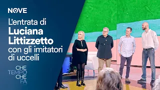 Che tempo che fa | L'entrata di Luciana Littizzetto con gli imitatori di uccelli