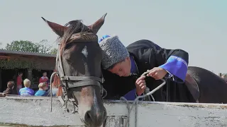 Казачья поляна села Солдато-Александровского. Фестиваль "Куначество"