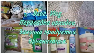 Влог. Пересадка орхидеи. Закупка продуктов. Пустые баночки. Организация хранения.